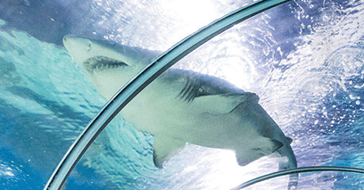 Cleveland Aquarium Cleveland Aquarium